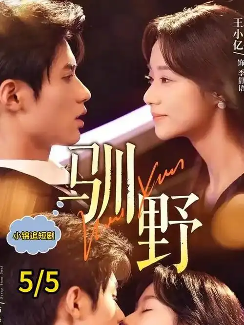 大江大河 第四季 封面